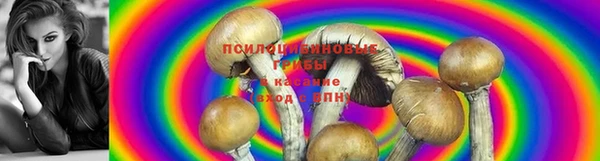 соль ск Аркадак