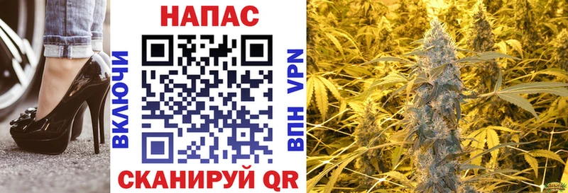 Шишки марихуана семена  omg зеркало  Покров 